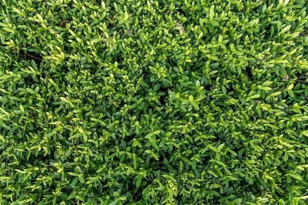 Irregular Sleep Patterns Increase Hypertension Risk by 32% - New Study