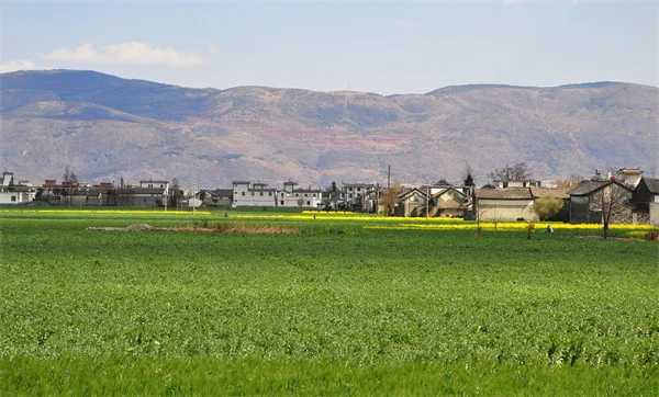 Best Blood Pressure Meds: 3 Types That Protect Your Heart Long-Term