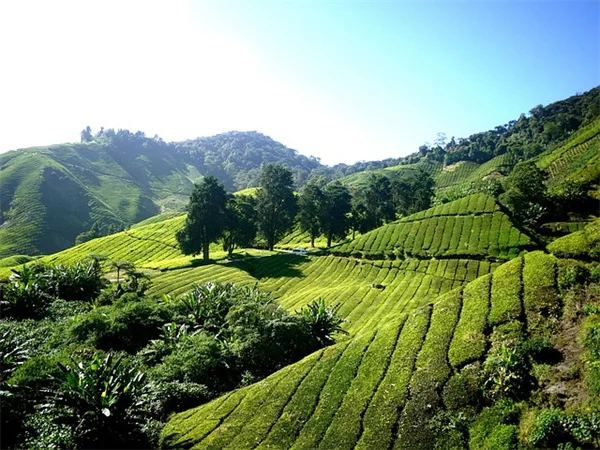 Amazon Clinic: 5 Things You Need to Know About Amazon's New Text-Based Healthcare